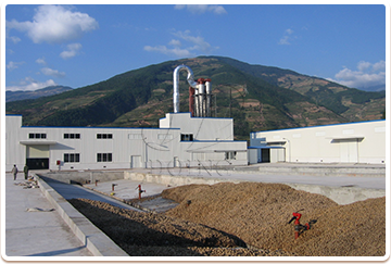 Cassava flour project case