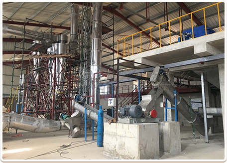 Cassava flour project case