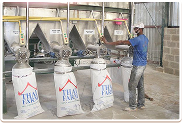 Cassava flour project case