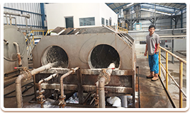 Cassava flour project case
