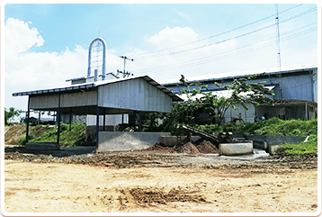 Cassava flour project case