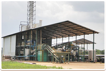Cassava flour project case