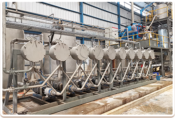 Cassava flour project case