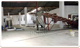 Cassava flour project case