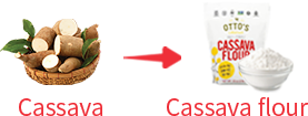 Cassava flour processing plant