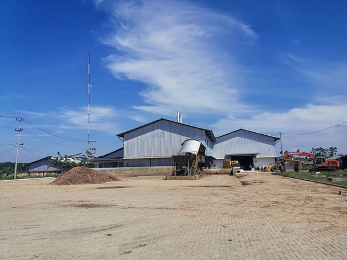 Cassava starch processing equipment in Indonesia running video