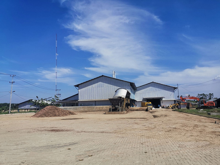 Cassava starch processing equipment in Indonesia running video