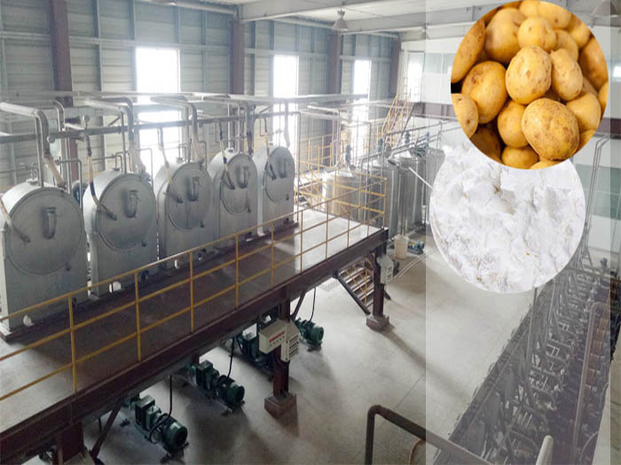 Potato starch processing machine in plant overview