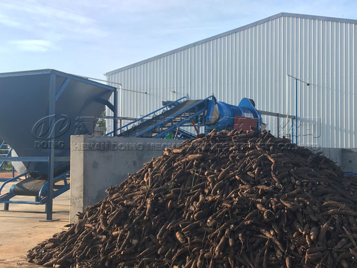 How much is cassava processing machine?