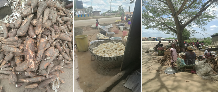 cassava starch processing in nigeria