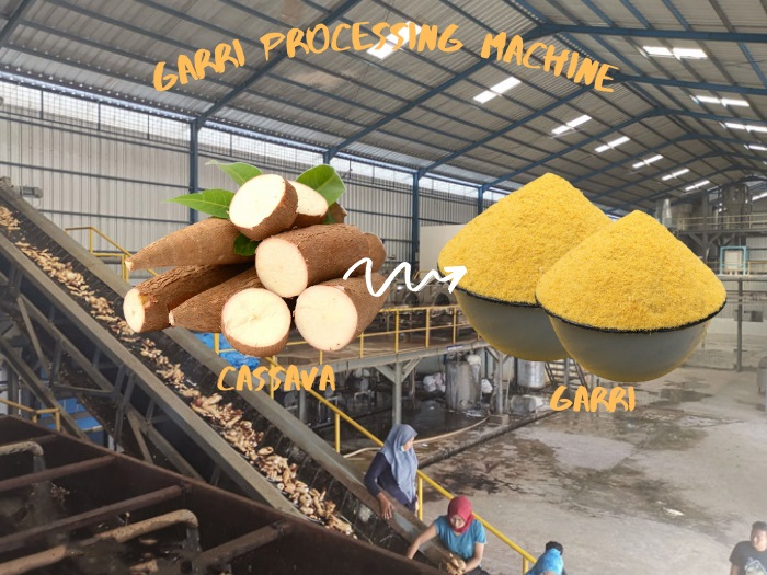Cassava to Garri Production, Processing and Packaging Process