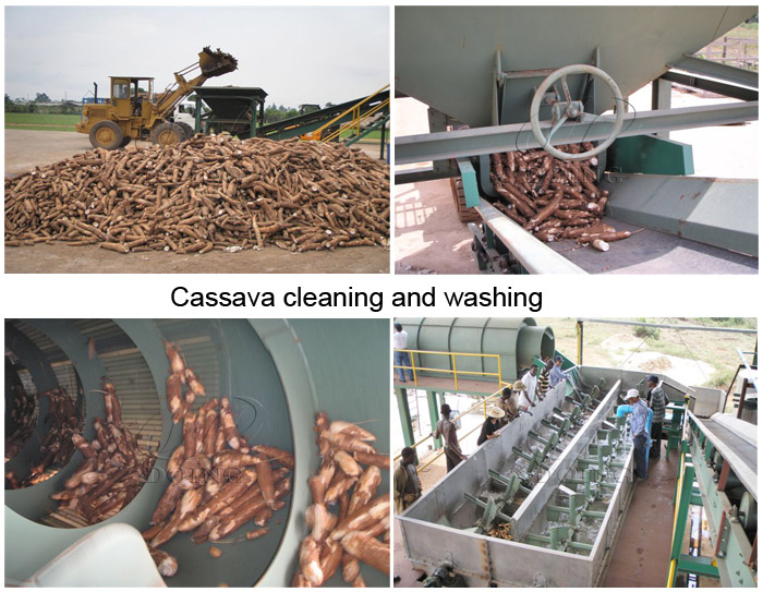 how to produce starch from cassava