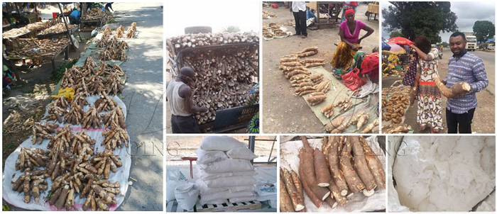 cassava starch production in ghana