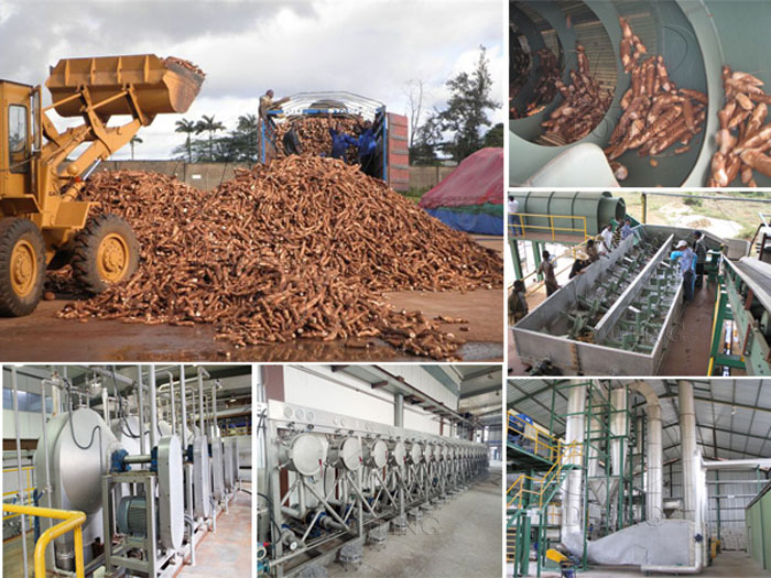 cassava starch production in ghana