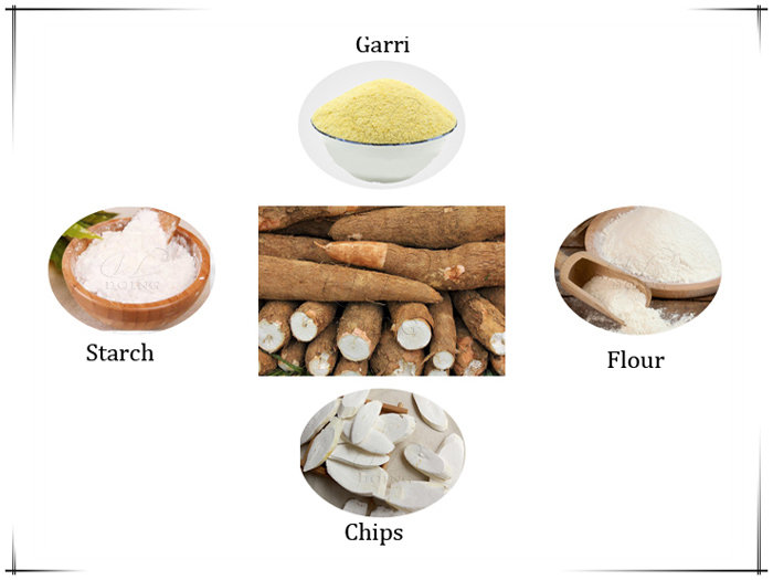 What can cassava be processed into?_Blog