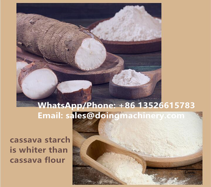 difference between cassava starch and cassava flour