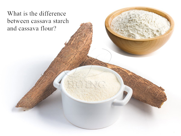 Difference between cassava starch and cassava flour