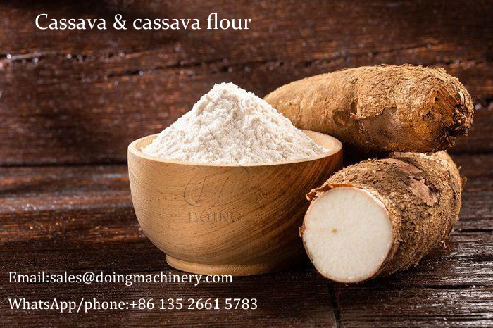 cassava flour