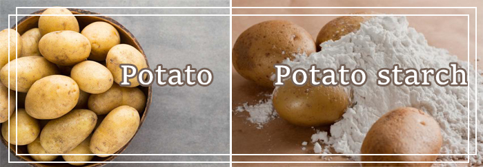 potato starch processing technology in pakistan