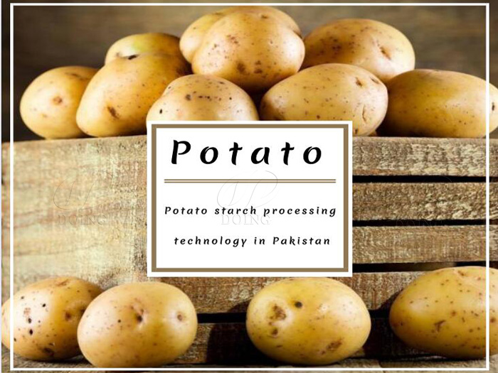 Potato starch processing technology in Pakistan