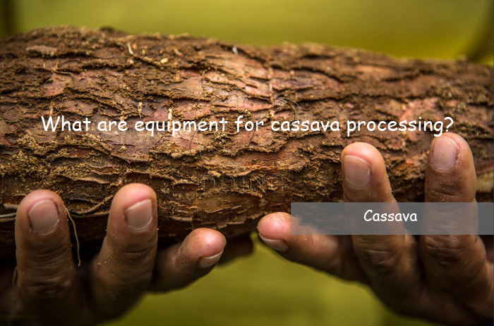 what are equipment for cassava processing