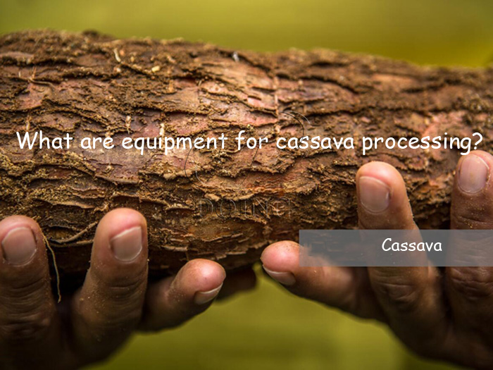 What are equipment for cassava processing ?
