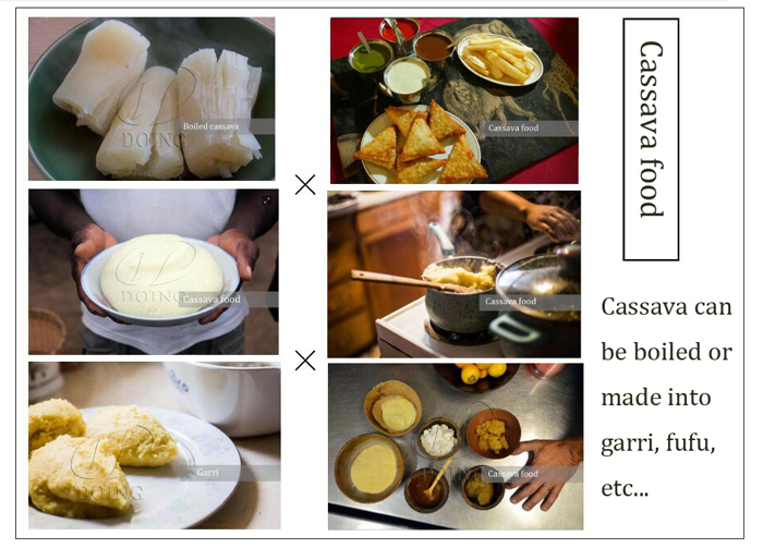 what are the end products of cassava