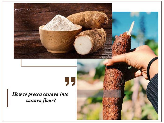 how to process cassava into cassava flour