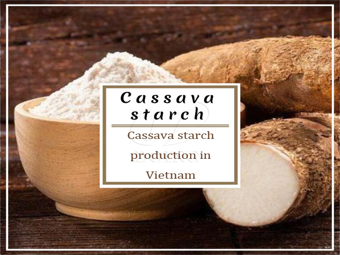 Cassava starch production in Vietnam: Past conditions and new development opportunity