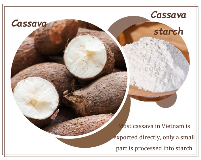 cassava starch production in Vietnam