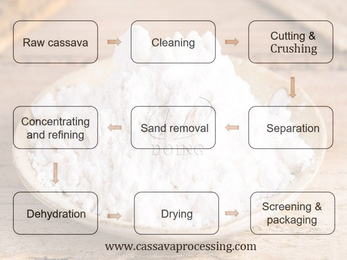 How to extract cassava starch from cassava root?
