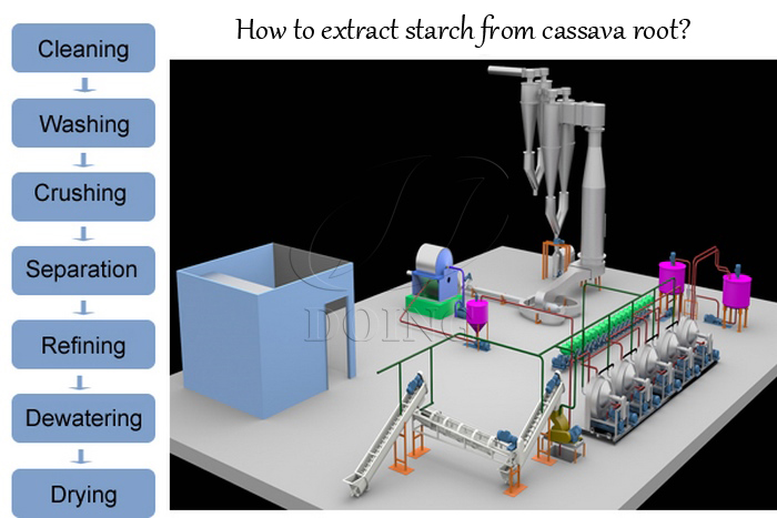 how to extract starch from cassava