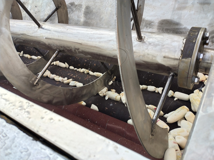 Video on trial run of cassava peeling machine for Malaysian customer