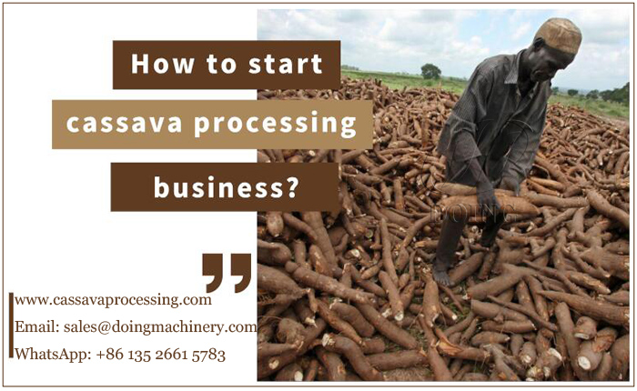 how to start cassava processing business