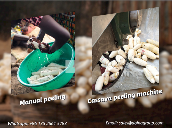 cassava peeling machine