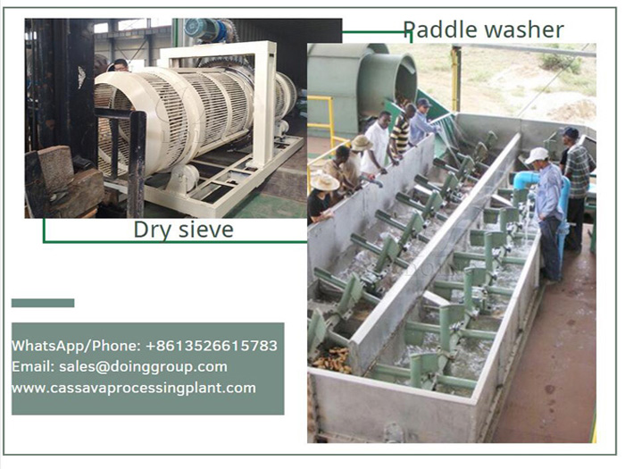 How to clean cassava root? The video of dry sieve and cassava paddle washing machine