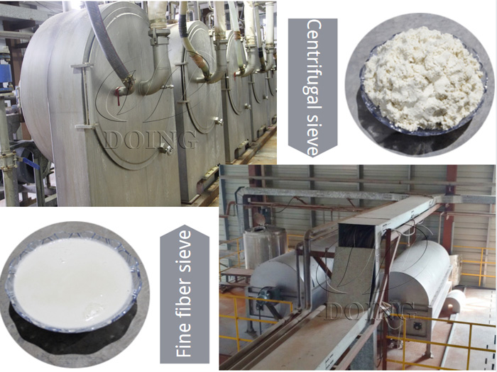 sweet potato starch production