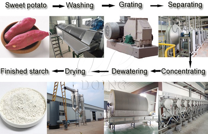 sweet potato starch production mahcine