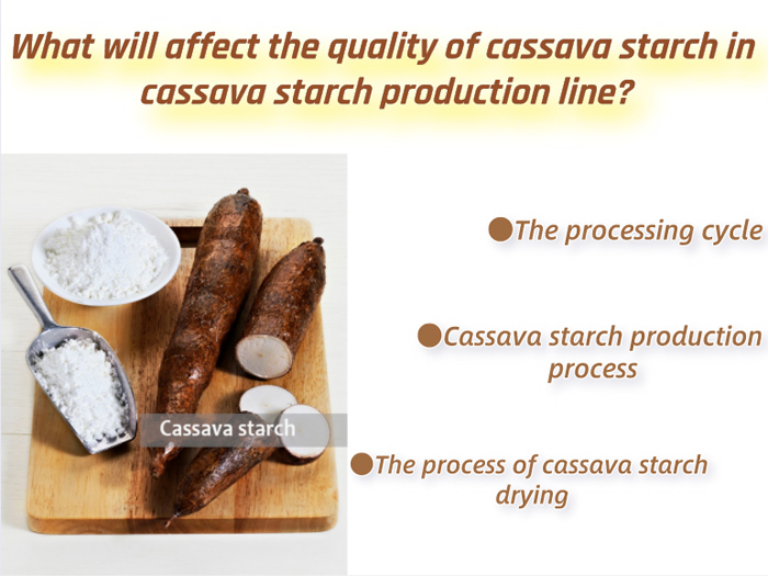 What will affect the quality of cassava starch in cassava starch production line?