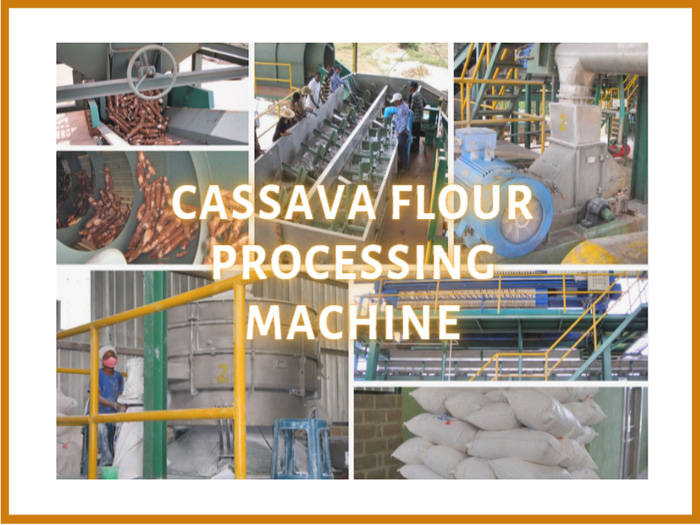 The cassava flour milling machines in cassava flour processing plant