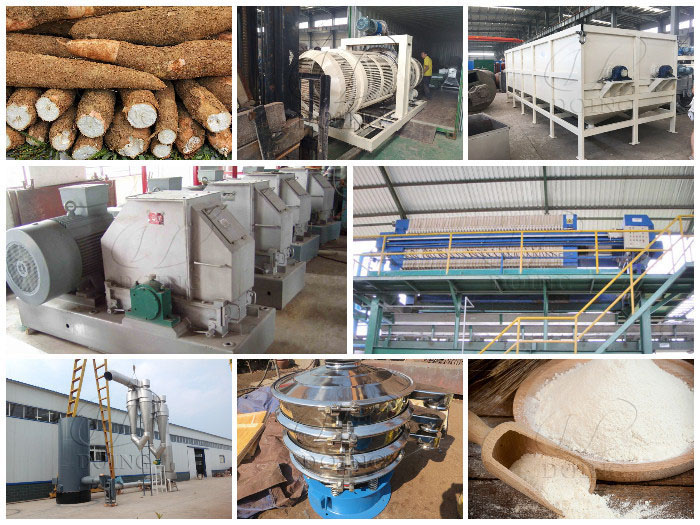 What are the processing steps of cassava flour production?