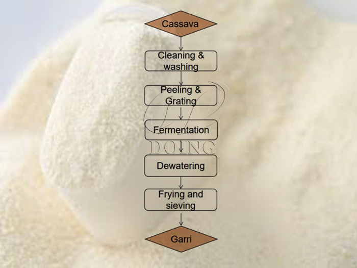 The processes involved in garri production