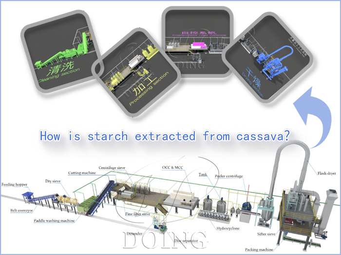 What is the preparation process of starch from cassava?