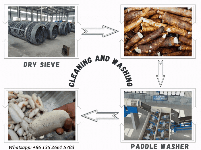 preparation process of starch from cassava