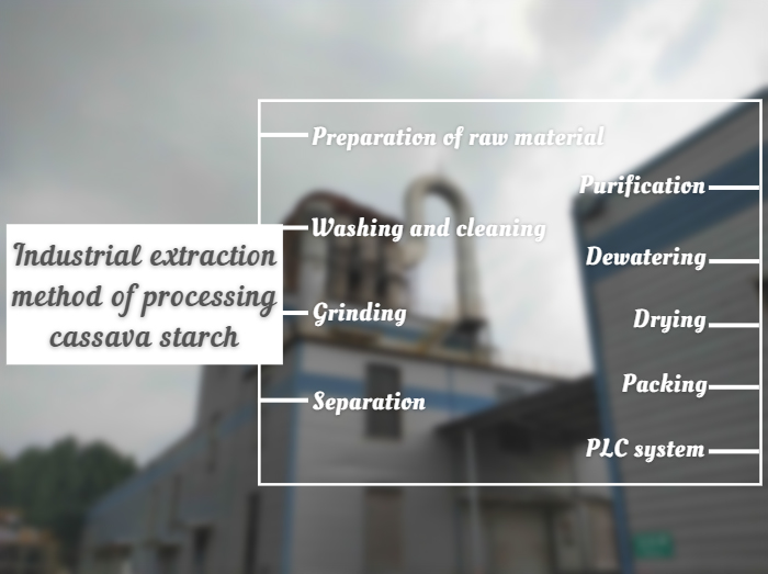 What is industrial extraction method of processing cassava starch?