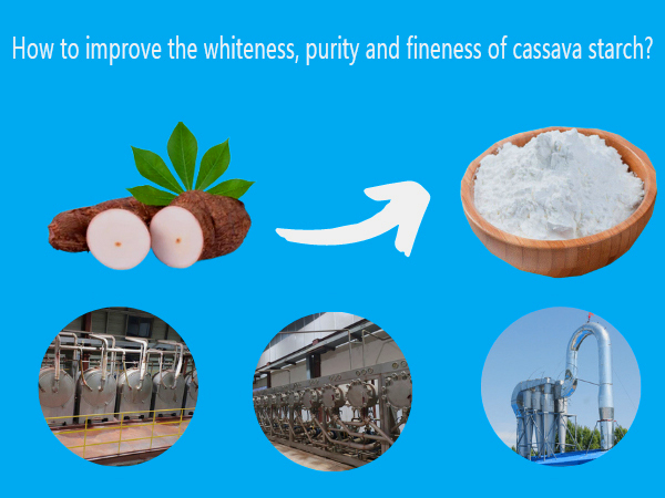 How to improve the whiteness, purity and fineness of cassava starch?