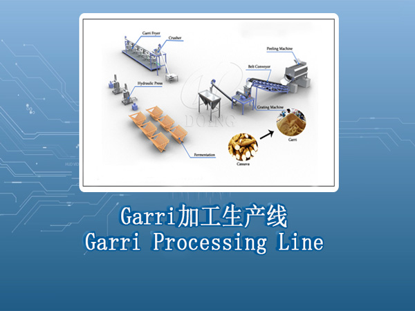 3D video of Garri production line