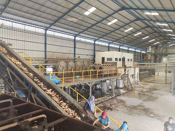 Cassava starch processing machine