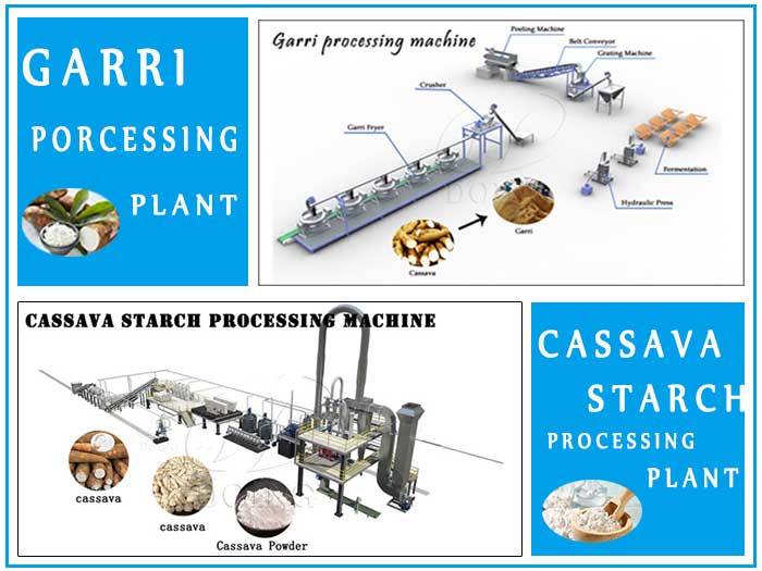 How could I produce cassava starch and garri together?