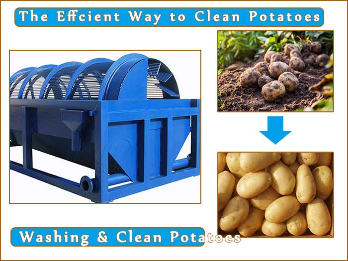 How to efficiently clean the soil attached to potatoes in potato starch production plant?